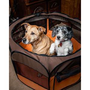 DB All-Terrain Lightweight Easy Folding Wire-Framed Collapsible Travel Pet <b>Playpen</b> - Product Image 6