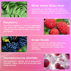 120pcs 500mg לכל הגשה קפסולות לקדם את האנרגיה פוקוס ואת ריכוז המוצר מהימן הלבנה קפסולות - Product Image 4