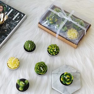 <span class=keywords><strong>Kit</strong></span> de bougies de plantes de Cactus succulentes décoratives, mignonnes bougies sans fumée, parfaites pour le Festival, les accessoires de mariage, la fête à la <span class=keywords><strong>maison</strong></span> - Product Image 6