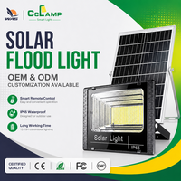Ip65 Panneau de projecteur LED solaire extérieur 100W/300W Lampe d'inondation solaire Blanc chaud CCT pour modèle de jardin LED solaire