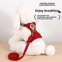 Harnais rétractable personnalisé pour chat et petit chien, motif ours mignon, anti-explosion, avec laisse de promenade
