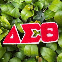 Patch en chenille personnalisé pour tous les groupes, lettres grecques, Alphabet grec, fraternité, sororité, patchs en chenille pour chapeau, vêtements
