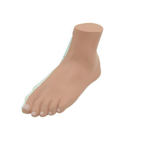 Modèle anatomique de pied plat humain-Aide à l'enseignement et à la recherche médicale - Product Image 2