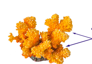 ของตกแต่งตู้<span class=keywords><strong>ปลา</strong></span>ขนาดใหญ่ ปะการังเทียมเรซิ่นหลากสีสัน สำหรับตู้ปลา มีจำหน่าย - Product Image 5