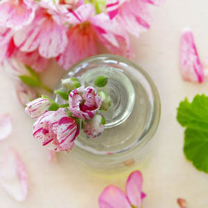 オーガニックゼラニウムエッセンシャルオイルバルクヘアスパアロマセラピー100% ピュアナチュラルボディマッサージエッセンシャルオイル - Product Image 2