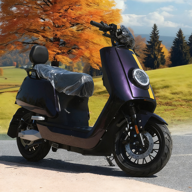 2025 Newest Quality Adult Electric Motorcycle Rechargeable Electric Motorcycle Price