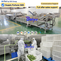 Baiyu automatische groenteverblancheermachine voor diepvriesgroenteverwerkingsfabriek met temperatuurregelsysteem
