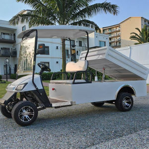 Chariot de golf à gaz 1-2 passagers Buggy Car Pickup Truck Certified EEC for Hunting Golf Courses - Product Image 2