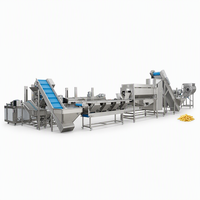Ligne de production de frites de pommes de terre surgelées : lavage automatique, pelage, découpe, blanchiment, déshydratation, congélation, emballage