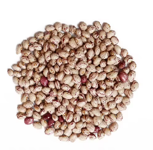 Chất lượng hữu cơ thận pinto đậu ánh sáng lốm đốm thận đậu cho thực phẩm bán buôn khô và số lượng lớn đóng gói - Product Image 2