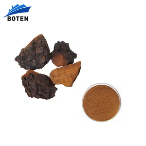 공급 업체 30% 다당류 차가버섯 추출물 분말 - Product Image 1