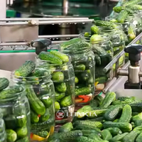 Ligne de produits de cornichons en conserve concombre cornichons concombre faisant l'équipement de la machine ligne de production de coupe de lavage de légumes marinés