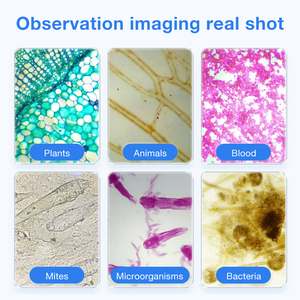 Wholesale New Multiple Types Double-layer Platform Biological <strong>Microscopes</strong> Monocular/binocular Teaching Laboratory <strong>Microscopes</strong> - Product Image 4