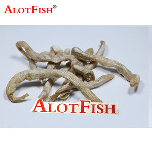 Appât de pêche <span class=keywords><strong>Bibi</strong></span> Worm sec, appât pour poissons, vers d'arachide, vers de Ganges - Product Image 2