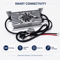 Chargeur de batterie 73V 20A LNLEE 20S LiFePO4 à large plage de tension avec refroidissement actif pour tricycle de marchandises, véhicule de campus, conception personnalisée