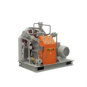 New Arrival Mini Compressor Machine 3000 PSI 300L High Pressure R-12 185 CFM Air Compressor for Bicycle