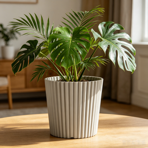 Pot de fleurs en plastique multi-tailles, écologique, pour plantes succulentes, herbes et légumes - Product Image 1