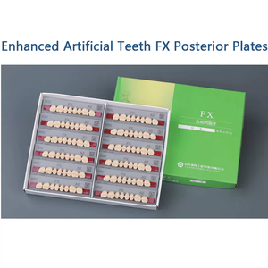 Dents de matériaux <span class=keywords><strong>en</strong></span> résine dentaire améliorées artificielles FX plaque postérieure dents Type dur 8 pièces X 12(96 pièces)/boîte mâchoires supérieures et inférieures - Product Image 2
