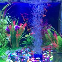 Pierre à air écologique en sable de silice bleu HAOHAI pour aquarium, 30mm*70, forme irrégulière, accessoires pour pompe à air hydroponique, boîte