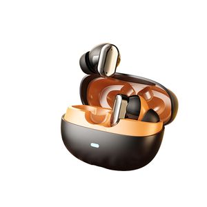 ANC+TWS 322 - Product Image 1