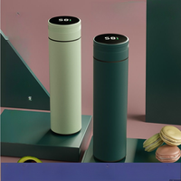 Bouteille d'eau isotherme en acier inoxydable de 500 ml avec affichage de la température, tasse thermos intelligente, gobelet de voyage isolé pour le bureau