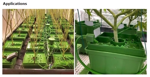 Pollice vivaio in plastica vaschetta da coltivazione <span class=keywords><strong>a</strong></span> <span class=keywords><strong>goccia</strong></span> per sistema di irrigazione <span class=keywords><strong>a</strong></span> effetto serra forniture da giardino 4 6 8 - Product Image 6