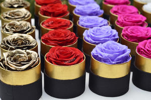 Commercio all'ingrosso di lusso regalo di san valentino scatola d'oro tocco reale essiccato lunga vita eterna per sempre fiore rosa per la decorazione domestica - Product Image 4