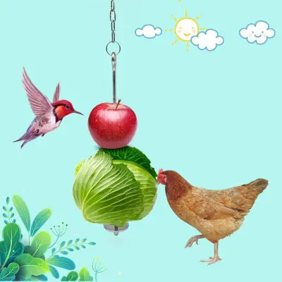 Stainless Hanging Feeder Chain Veggies Skewer Fruit Vegetable Holder with Chain for Hens Pet Chicken Birds Feeding Tools