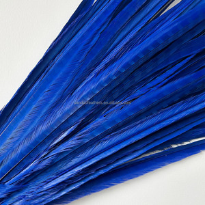 Plumas <span class=keywords><strong>de</strong></span> Faisán <span class=keywords><strong>de</strong></span> 60-65 cm <span class=keywords><strong>de</strong></span> Largo, Teñidas <span class=keywords><strong>de</strong></span> Azul Real, Plumas <span class=keywords><strong>de</strong></span> Cola <span class=keywords><strong>de</strong></span> Faisán Anillado, Plumas <span class=keywords><strong>de</strong></span> Faisán en <span class=keywords><strong>Venta</strong></span>, Disfraz <span class=keywords><strong>de</strong></span> Carnaval Sexy - Product Image 5