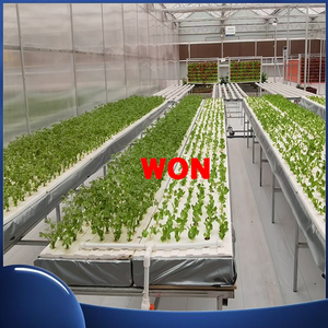 MR WON Blanco Horticultural Reflectante Tejido Engrosado Cubierta de suelo Tratamiento UV Durable para agricultura Plantación de invernaderos - Product Image 5