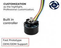 Moteur BLDC miniature BL3025O 12V 14W 4000RPM 342g.cm à couple élevé 1.3A, cadre 30mm, pour maison intelligente, instrument cosmétique, personnalisation OEM ODM