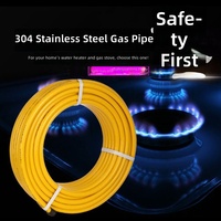 Pipa Gas Gas Alam Gas Kota Gas LPG Selang Bergelombang Tahan Ledakan Tekanan Tinggi Fleksibel Bawah Tanah