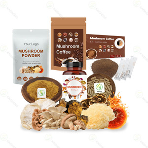 Hỗn hợp bột chiết xuất nấm hữu cơ OEM: Đông trùng hạ thảo/Maitake/Reishi/Shiitake/Nấm sư tử/Nấm sò/Nấm Chaga - Product Image 4