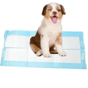 Nhãn Hiệu Riêng Puppy Dog Pet Chăm Sóc Đào Tạo Miếng Đệm Mèo Nhà Vệ Sinh PEE Pad Bô Miếng Đệm Cho Chó