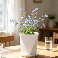 Pots de fleurs carrés en plastique avec trou de drainage, design minimaliste durable pour plantes d'intérieur et d'extérieur, options colorées, 2,02 L, arrosage