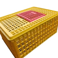 Animal Cages for Live Birds