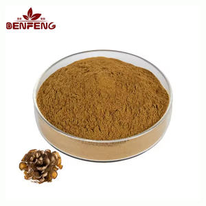 Натуральный порошок гриба Майтаке пищевого качества, экстракт гриба Майтаке 10:1 - Product Image 1