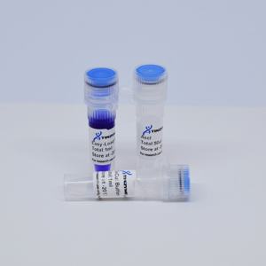 Endonucleasa de restricción Tinzyme AscI 50l/vial 99% de pureza para digestión enzimática rápida de ADN plasmídico, productos de PCR y ADN genómico - Product Image 2