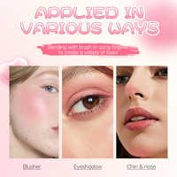 Fard à joues en poudre de luxe, haute pigmentation, effet lumineux et soyeux, personnalisable, vente en gros