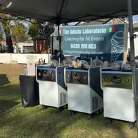 Gerobak Gelato E-Power 2 Silinder Laris Manis, Gerobak Gelato Komersial Mobile EV, Produksi Langsung dari Pabrik, Lengkap Sekaligus