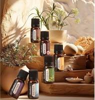 Diffuseur d'arômes à ultrasons avec prise USB, capacité de 10 ml, huile essentielle soluble dans l'eau, parfum, humidificateur, soin du visage