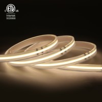 Bande LED Raymates pour extérieur, haute tension, 420 LED/m, AC110V, haute qualité, étanche IP67, 12 mm, CRI 90+, CE ROHS UL, bandes lumineuses intelligentes