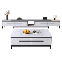 Table basse moderne minimaliste avec espace de rangement et de présentation pour le salon