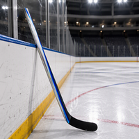 Ventes chaudes, dernier modèle de bâtons de hockey sur glace en fibre de carbone |   Utilisation pour l'entraînement en tournoi |   Lames P28/P29 de haute qualité aux couleurs personnalisées