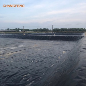 Không thấm nước geomembrana bãi rác biodigester lót 0.75mm LLDPE <span class=keywords><strong>HDPE</strong></span> <span class=keywords><strong>geomembrane</strong></span> lót cho ao đập lót trong Philippines - Product Image 5