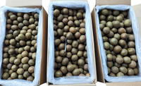Buah Monk Fruit Lo Han Guo Kering Kemasan Longgar, Buah Kering Guangxi Satu Dus, Untuk Menyeduh Teh Herbal