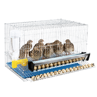 Petite cage à cailles avec abreuvoir automatique et plateau à œufs coulissant pour l'élevage de cailles coturnix, oiseaux et volailles.