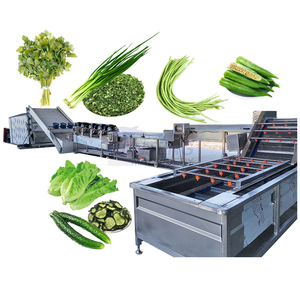 Secadora Comercial de Alimentos, Máquina de Lavado y Secado de Vegetales como Cilantro, Guisantes Verdes, Escarola y Espinaca - Product Image 1