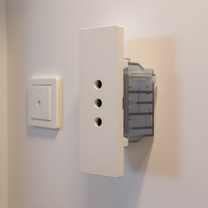 Enchufe ZEN Line 10A con cubierta transparente para instalación en pared - Product Image 3