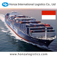Agente de Transporte Marítimo LCL de China a Rumania, Envío Puerta a Puerta, Entrega Exprés, Agente de Envío DDP, Aduanas de Bucarest